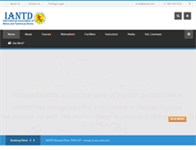 Tablet Screenshot of iantd.com